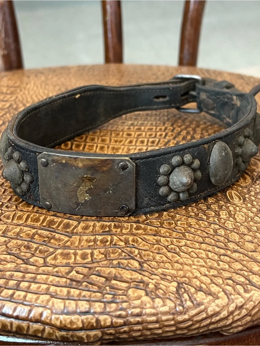 Vintage 18-19th Century Leather Dog collar with Brass Studs and Pawprint Conchos